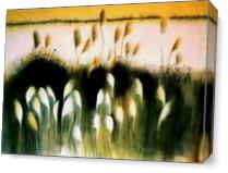 Wheat Field As Canvas