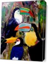 Three Toucans As Canvas