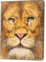 The Rega Lion Roar Of Freedom - Gallery Wrap