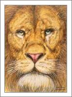 The Rega Lion Roar Of Freedom - No-Wrap