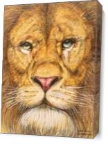The Rega Lion Roar Of Freedom As Canvas