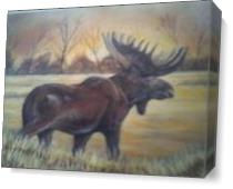 Moose As Canvas