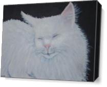 Cat Nap As Canvas