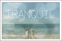 Tranquuil - No-Wrap
