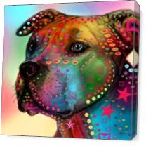 Pit Bull As Canvas