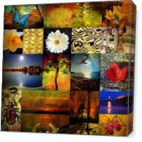 Collage From The Nature - Gallery Wrap Plus