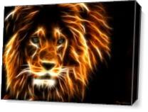 Lion As Canvas
