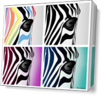 Zebra Colage As Canvas