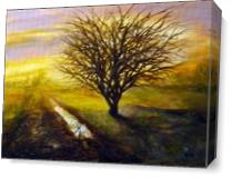 Apple Tree In Lane As Canvas