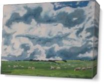 The Sheep On Field As Canvas