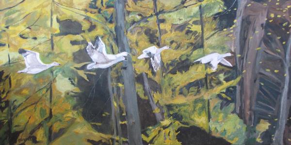 The Five Snow Geese