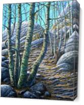 Aspen Trail As Canvas