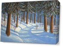 Tahoe Forest In Winter - Gallery Wrap Plus
