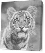 Tiger Cub As Canvas