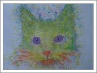 Rainbow Tomcat - No-Wrap