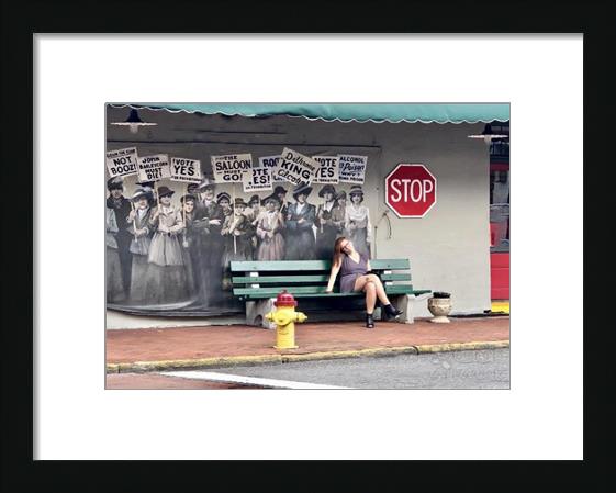 Savannah Bus Stop Photo