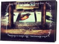 All Things Bird I - Gallery Wrap