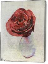 Rose With Texture I - Gallery Wrap