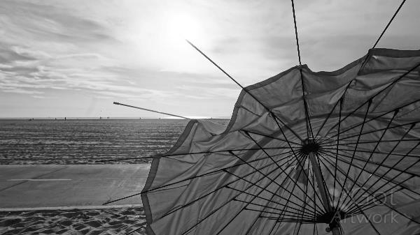 Yellow Umbrella
