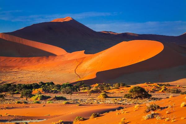 Sossusvlei Dunes