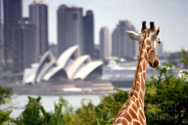 Sydney Opera House