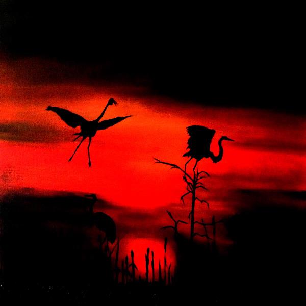 Cranes At Night