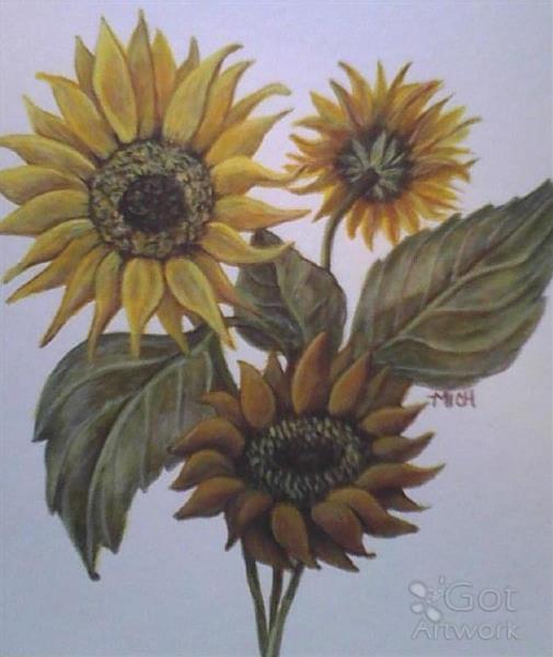 Sunflowers