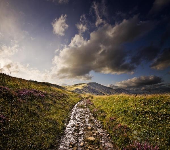 Path
