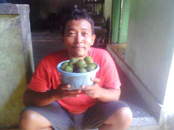 Farmer