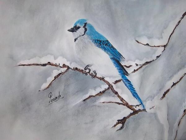 Bird