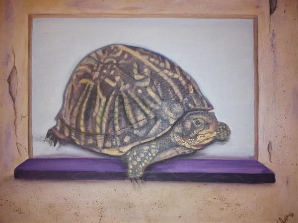 Tortuga