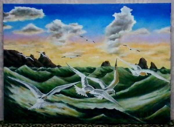 Seagull