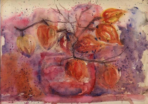 Winter Cherry