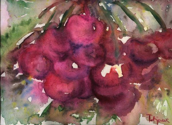 Cherry
