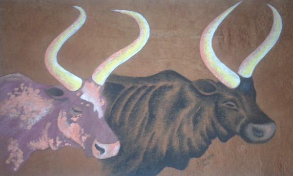 Long Horned Cows.