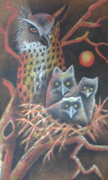 Owl Family