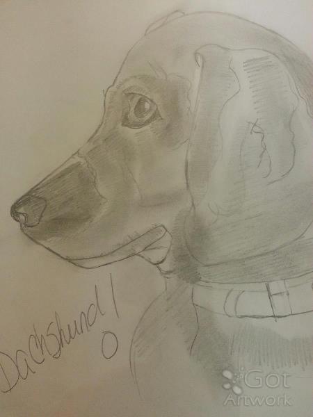 Dachshund PicsArt