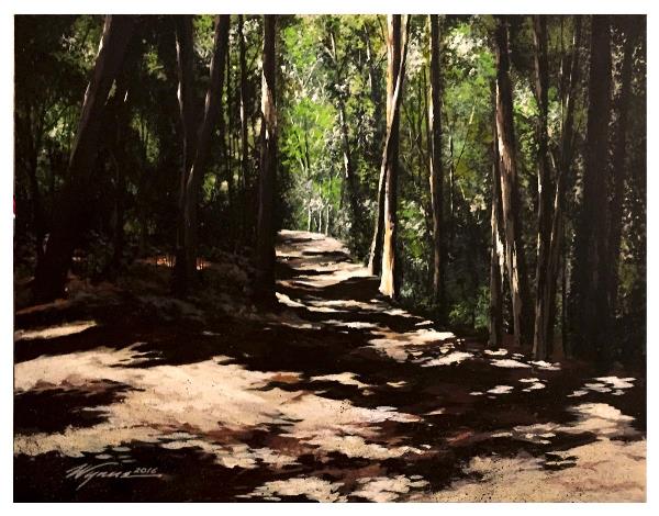 Walden Woods