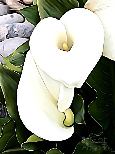 Calla Lily Ala O'Keefe I