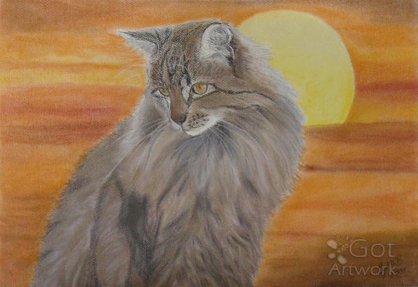Cat And Sunset