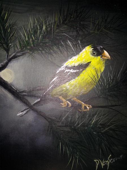 Golden Finch