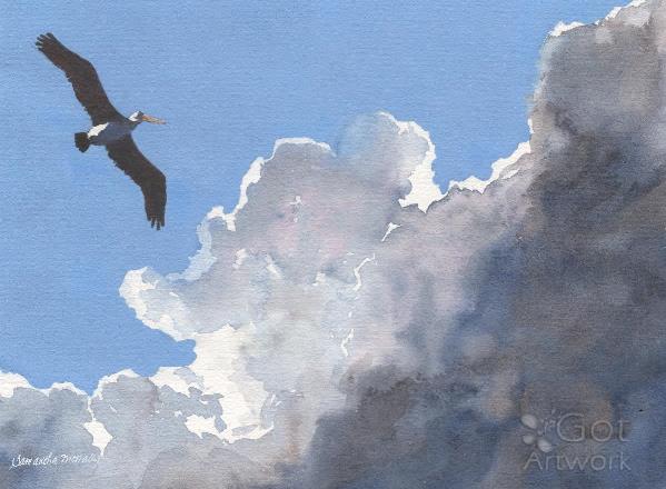 Pelican In The Clouds