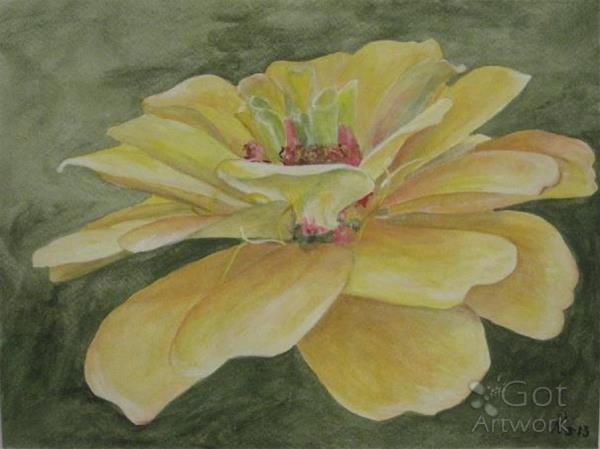Yellow Zinnia