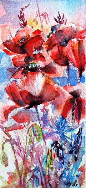 Poppies