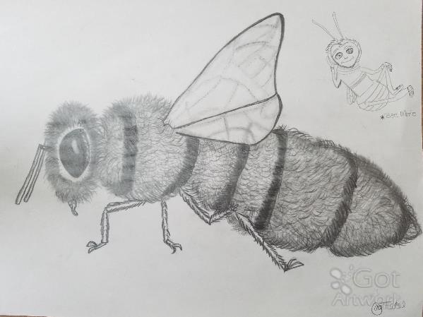 The Bee