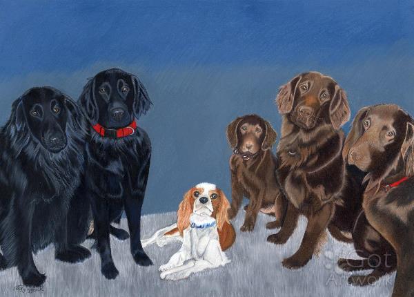 Family Knows No Breed