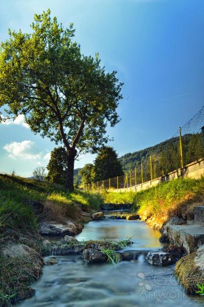 Skripov Stream