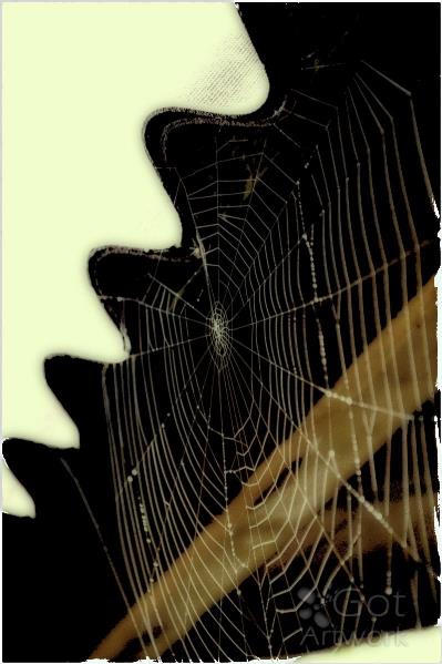Spider-net