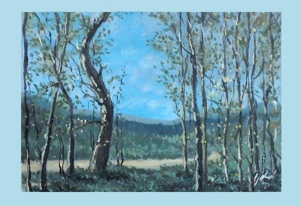 Landscape