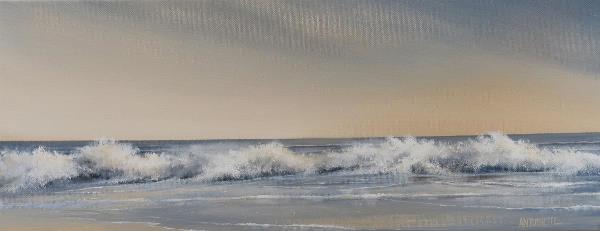 Sea-22-